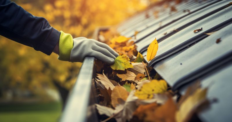 Autumn Roof Maintenance