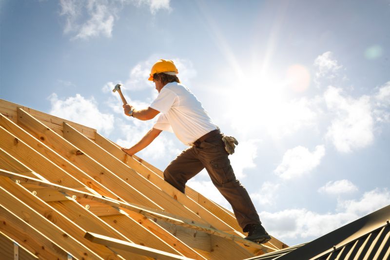 Handyman Roof Repair Services