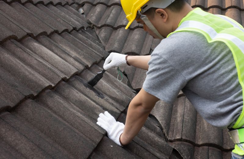 Handyman Roof Repair Services
