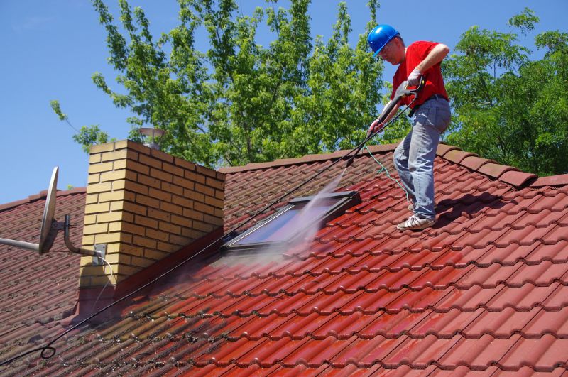 Handyman Roof Repair Services
