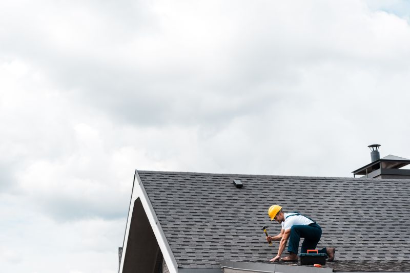 Handyman Roof Repair Services