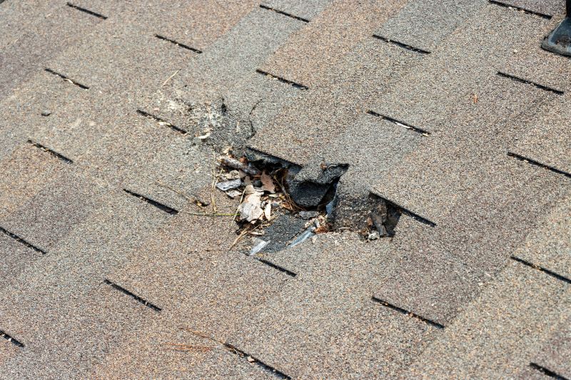 How Asphalt Shingle Roof Repair Prevents Costly Water Damage